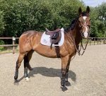 039978FF-425A-4A54-8C6E-FE6296C51EEA.jpeg 039978FF-425A-4A54-8C6E-FE6296C51EEA.jpeg