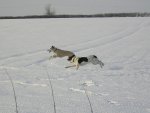 girls running in snow.jpg