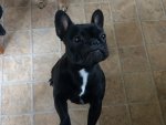 FB_IMG_1559343763704.jpg