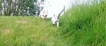 IMAG0587_1.jpg