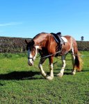 Summer 18 3 yrs old.jpg