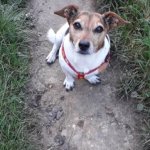 20181001_125510.jpg 20181001_125510.jpg