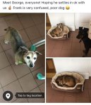 65268266-5543-4023-B95A-83D0C4BA353B.jpeg 65268266-5543-4023-B95A-83D0C4BA353B.jpeg