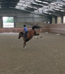 IMG-20220712-WA0001~2.jpg IMG-20220712-WA0001~2.jpg