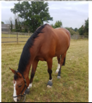 1659597419696.png 1659597419696.png