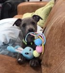 F2BD8ADB-F9C9-4653-B84A-5E6BEE4EFE21.jpeg F2BD8ADB-F9C9-4653-B84A-5E6BEE4EFE21.jpeg