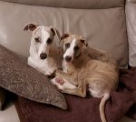 Granville and Cedric.jpg