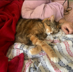 1660206625214.png 1660206625214.png