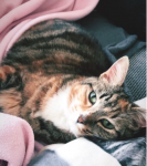 1660211924785.png 1660211924785.png