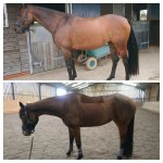 Franny glow up august 22.jpg