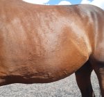 20220827_203100.jpg 20220827_203100.jpg