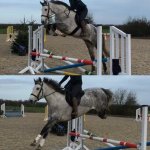 55D70717-6223-450E-967F-BEEAABC3C27E.jpeg 55D70717-6223-450E-967F-BEEAABC3C27E.jpeg