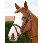 Fancy-Flash-Noseband-Brown--800x800.jpg