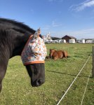 4580BB03-FF89-4173-AB95-B905C26BAF9C.jpeg 4580BB03-FF89-4173-AB95-B905C26BAF9C.jpeg