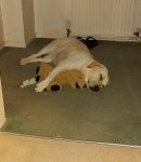 20220802_225230.jpg 20220802_225230.jpg