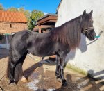 310394725_10223027027968133_8763885353544823060_n.jpg 310394725_10223027027968133_8763885353544823060_n.jpg