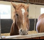 2F57D732-5708-481B-8174-9442B84311D9.jpeg 2F57D732-5708-481B-8174-9442B84311D9.jpeg