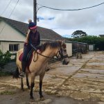 08E2497E-17B5-45F6-BE16-5BA18BBAD46A.jpeg 08E2497E-17B5-45F6-BE16-5BA18BBAD46A.jpeg