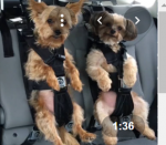 1666948536580.png 1666948536580.png