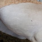 Screenshot_20221102-122327_Gallery.jpg Screenshot_20221102-122327_Gallery.jpg