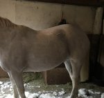 33957DD1-DCFE-46B1-A150-061F746DFCCD.jpeg 33957DD1-DCFE-46B1-A150-061F746DFCCD.jpeg