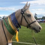 FDBF302E-18F6-4977-826C-D7F0F8622024.jpeg FDBF302E-18F6-4977-826C-D7F0F8622024.jpeg