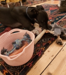 1669745140401.png 1669745140401.png