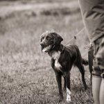 70C98BB3-E099-43D1-BA2A-29299986564C.jpeg 70C98BB3-E099-43D1-BA2A-29299986564C.jpeg