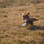 912E3906-2B04-4BB8-A259-77E509ABF462.jpeg 912E3906-2B04-4BB8-A259-77E509ABF462.jpeg