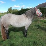 FB_IMG_1670757350249.jpg FB_IMG_1670757350249.jpg