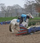 Screenshot_20221211-230935_Gallery.jpg Screenshot_20221211-230935_Gallery.jpg