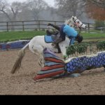 Screenshot_20221211-230943_Gallery.jpg Screenshot_20221211-230943_Gallery.jpg