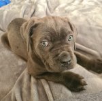 Screenshot_20221215_101356_Gallery.jpg Screenshot_20221215_101356_Gallery.jpg