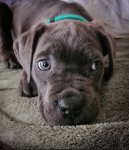 Screenshot_20221217_170122_Instagram.jpg Screenshot_20221217_170122_Instagram.jpg