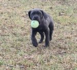 Screenshot_20221217_170215_Gallery.jpg Screenshot_20221217_170215_Gallery.jpg