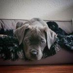 Screenshot_20221217_081912_Instagram.jpg Screenshot_20221217_081912_Instagram.jpg