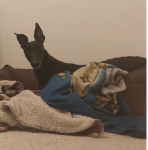 1671655400206.png 1671655400206.png