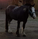 1561635384647.png 1561635384647.png