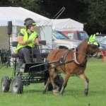 66F58CBF-694E-4C84-8D71-E11EAA0063BE.jpeg 66F58CBF-694E-4C84-8D71-E11EAA0063BE.jpeg