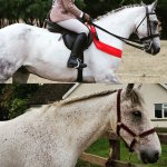 Screenshot_20190627-181305_Instagram.jpg Screenshot_20190627-181305_Instagram.jpg