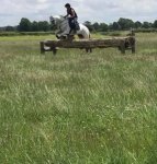 Brieze xc 30.06.19 2.jpg