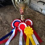 92FF6897-83D8-4AE9-946E-20E45BB6D11B.jpeg 92FF6897-83D8-4AE9-946E-20E45BB6D11B.jpeg