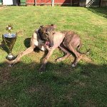 07CEF23F-24FB-49DC-8593-D9CEEE7CA49F.jpeg 07CEF23F-24FB-49DC-8593-D9CEEE7CA49F.jpeg