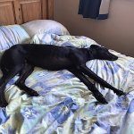 0D4921F5-F801-4071-BD0A-86D93C189E64.jpeg 0D4921F5-F801-4071-BD0A-86D93C189E64.jpeg