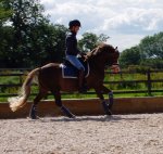 lesson6.jpg lesson6.jpg