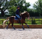 lesson8.jpg lesson8.jpg