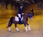 C40F1658-D220-4C1A-A57C-63FEC9D4ABA0.jpeg C40F1658-D220-4C1A-A57C-63FEC9D4ABA0.jpeg