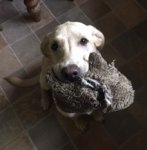 IMG_0318.JPG IMG_0318.JPG