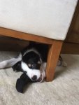 under the chair.JPG