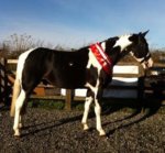 2A59A760-02F7-4940-97C6-9E6FCB852576.jpeg 2A59A760-02F7-4940-97C6-9E6FCB852576.jpeg